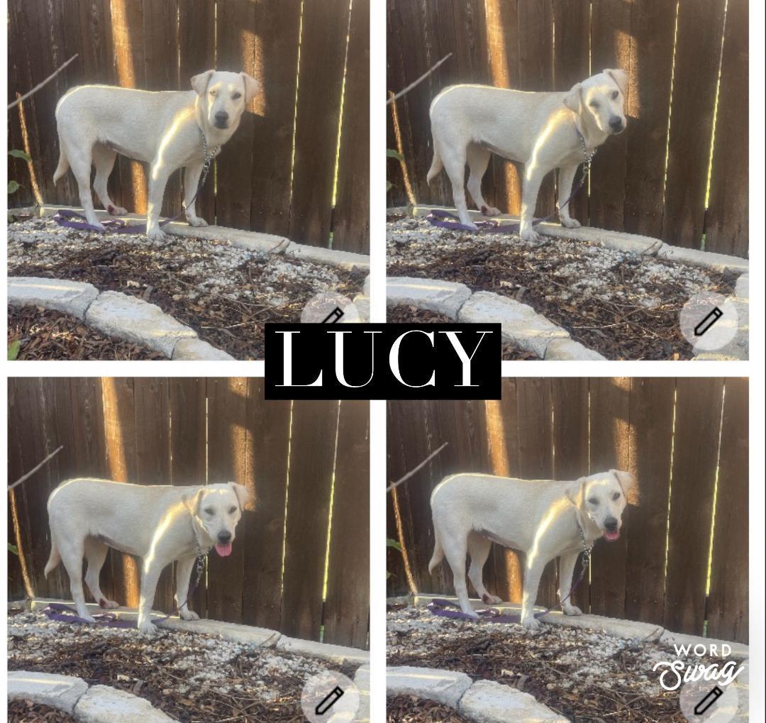 Lucy