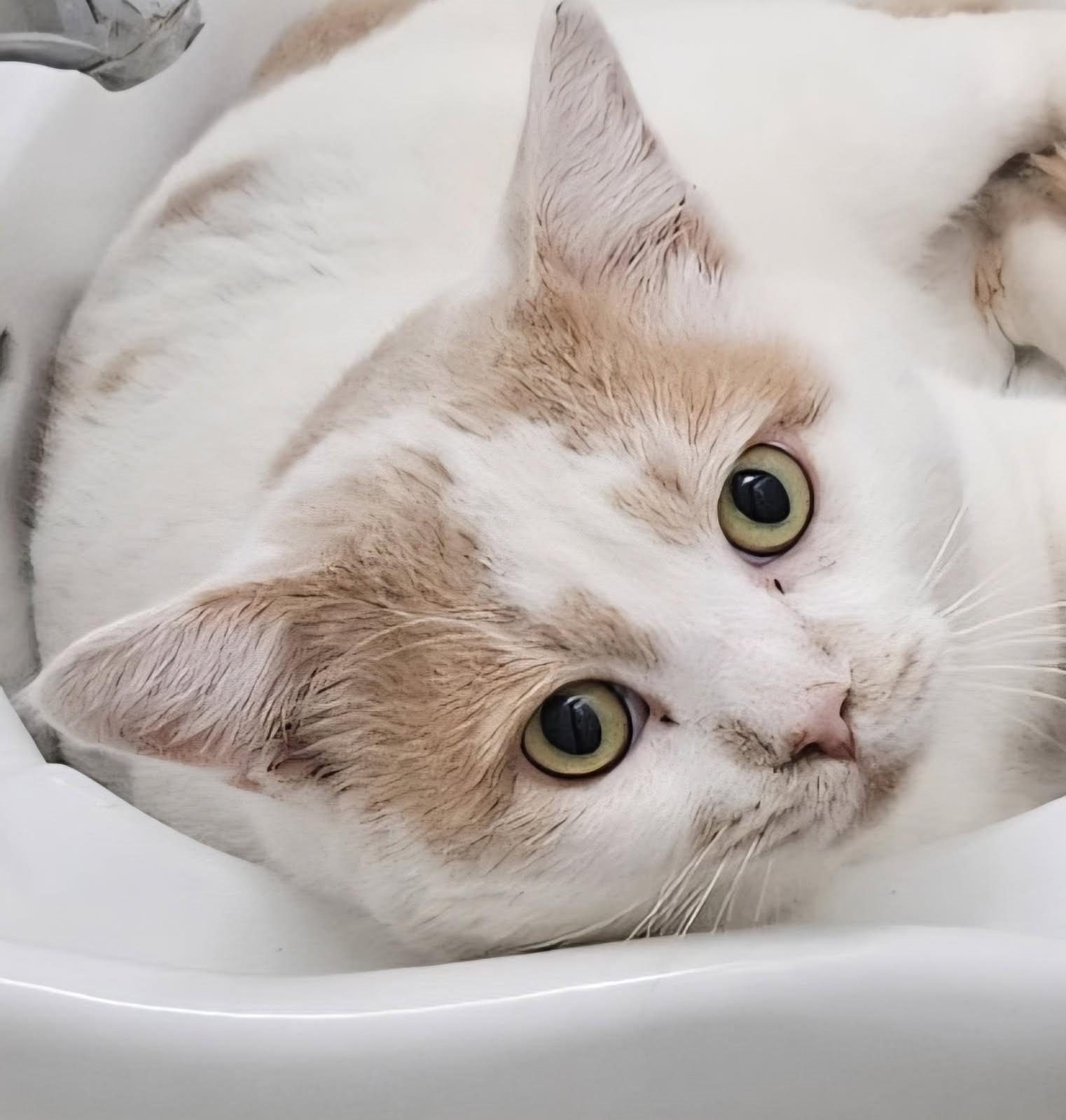 Steven Super Snuggly!