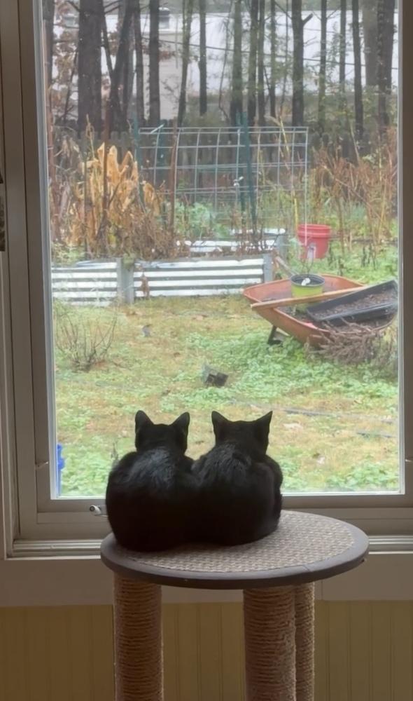 Hershey And Health photo 1