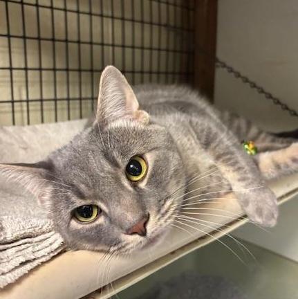 Theo & Ziggy photo 1