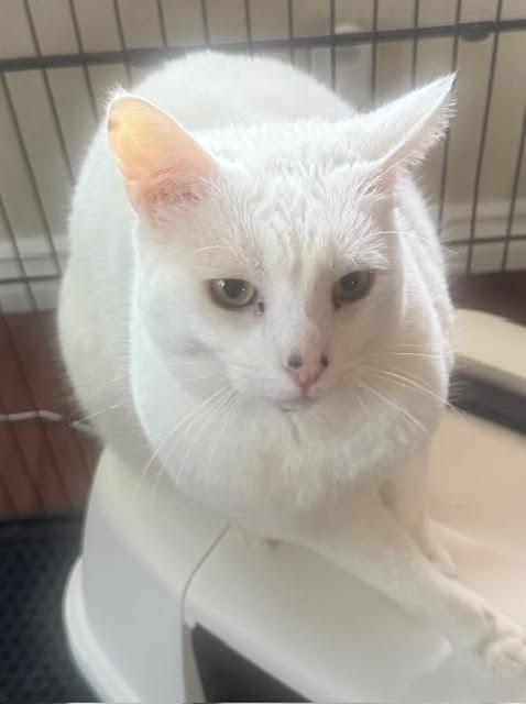 Warner “tv Guru”