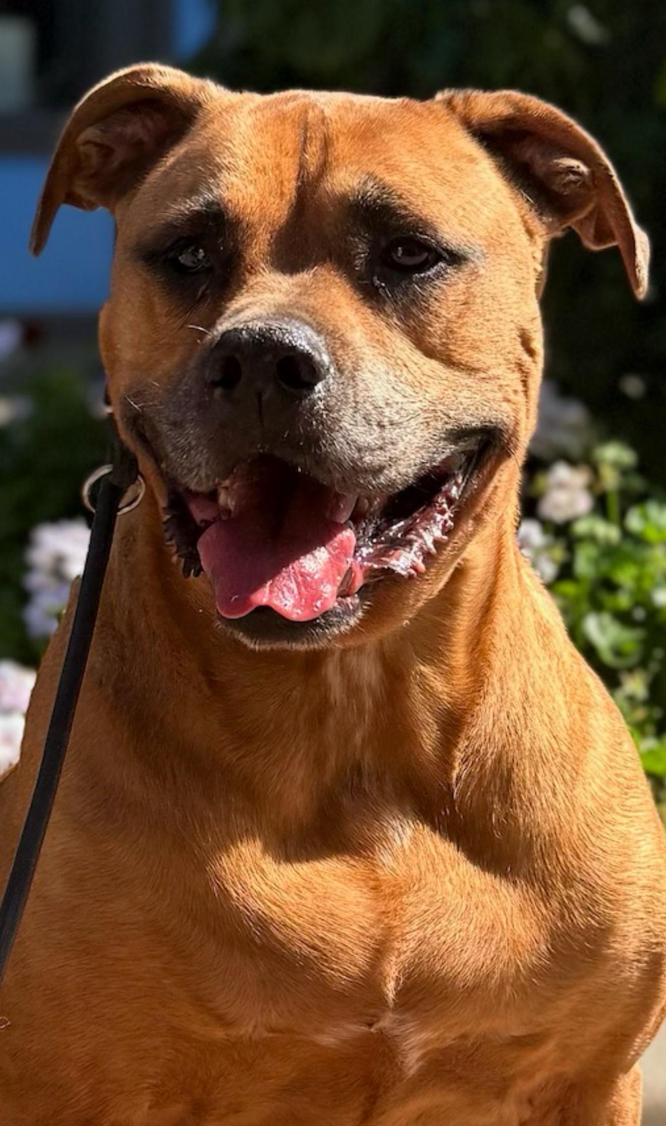 Cjay The Goldenbachelor photo 1