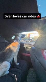 Sven
