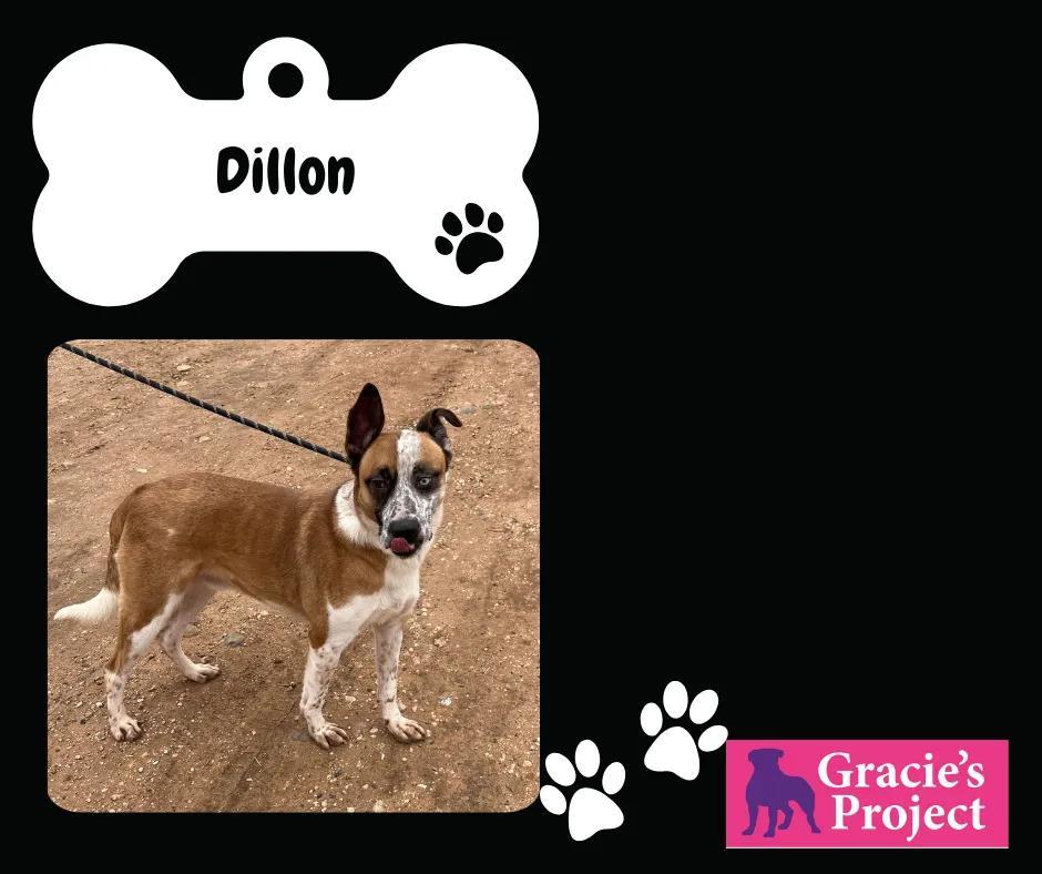 Dillon