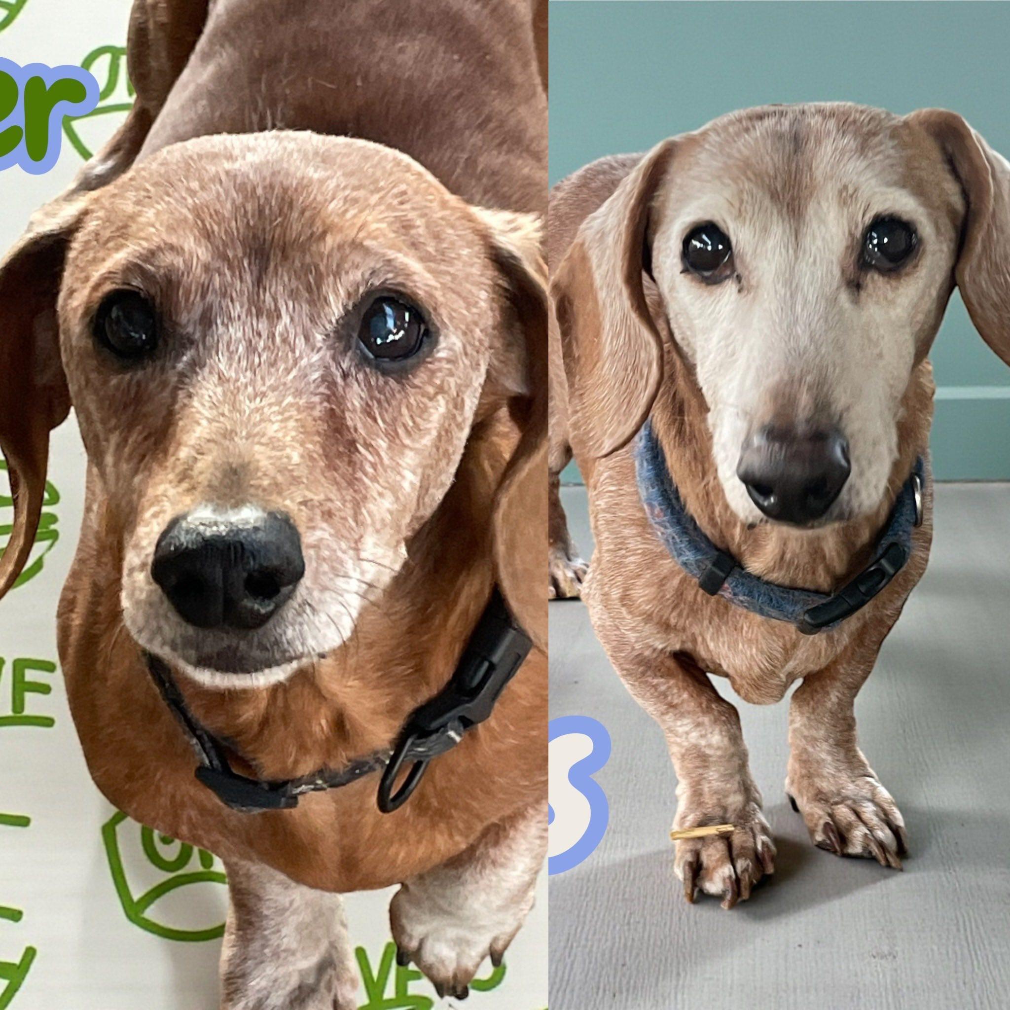 Tanner & Gus Md photo 1