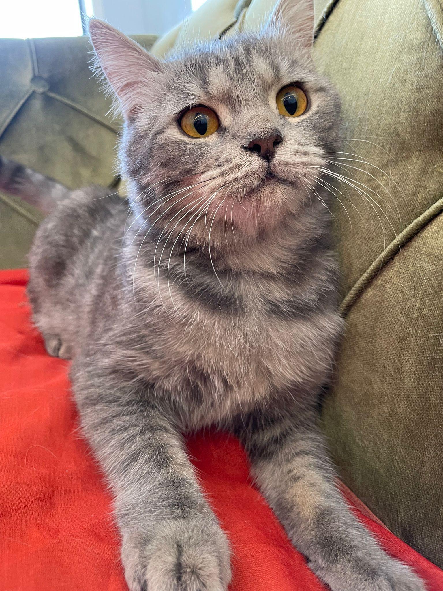 Sergeant & Ashley Bonded