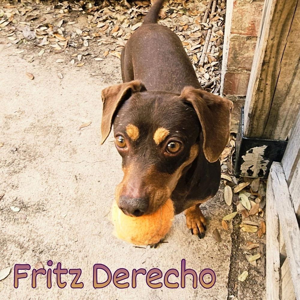 Fritz Derecho