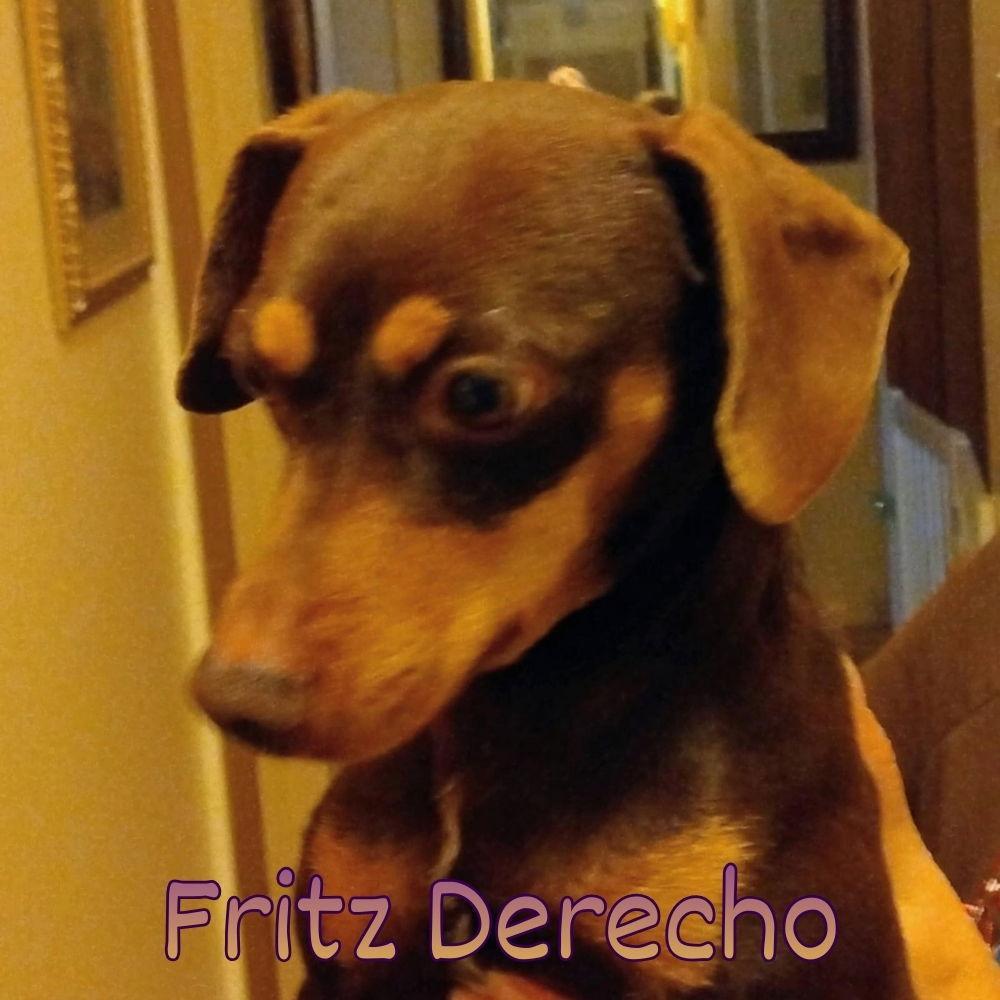 Fritz Derecho