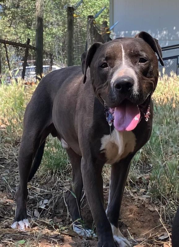 Mister Santiago ⢠Cute