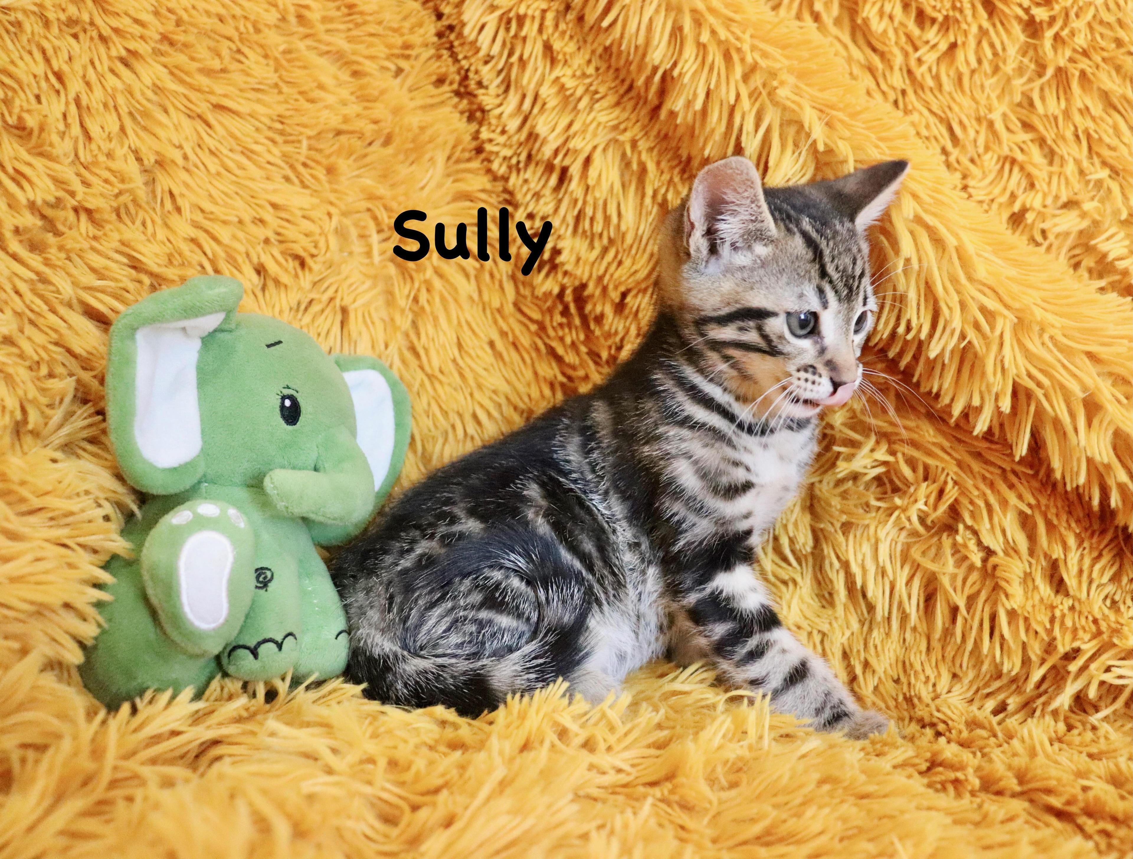 Sully