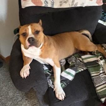 Violet Courtesy Listing