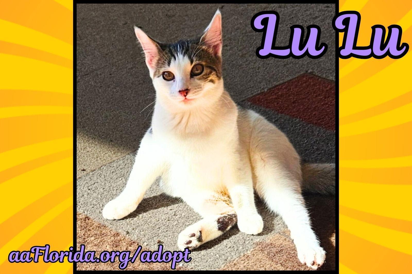 Lulu