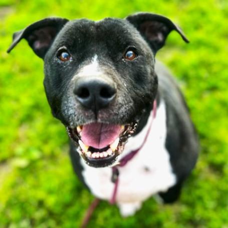 Miawe Pay All Expenses