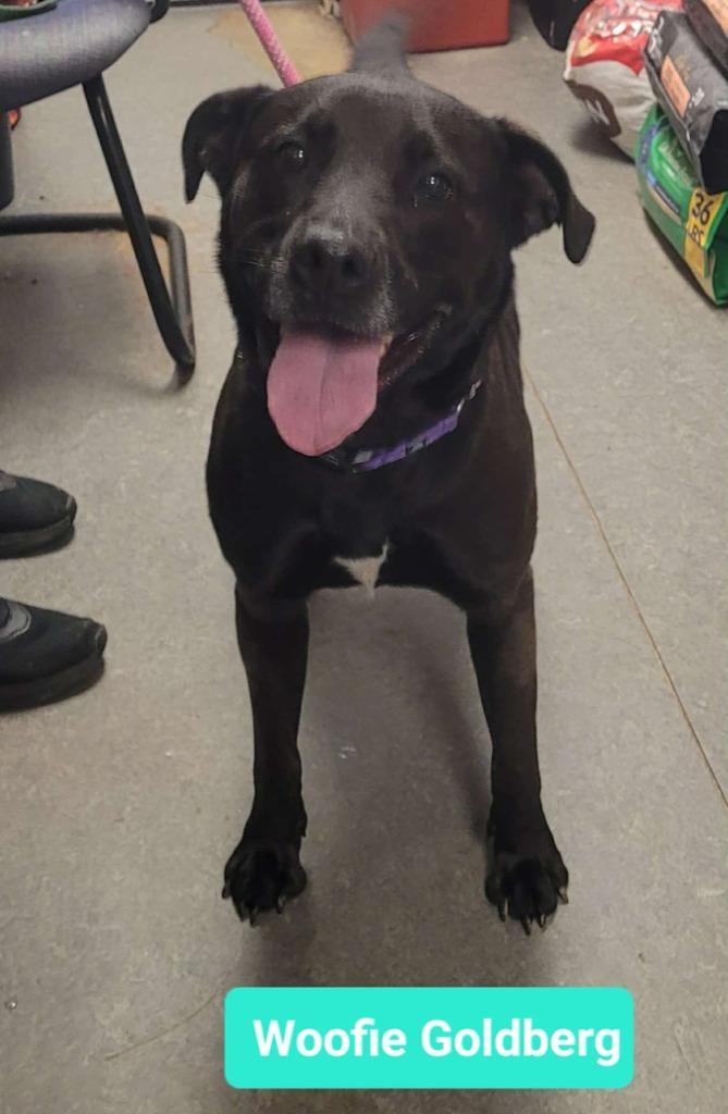 Woofie Goldberg
