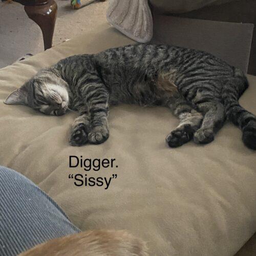 Digger