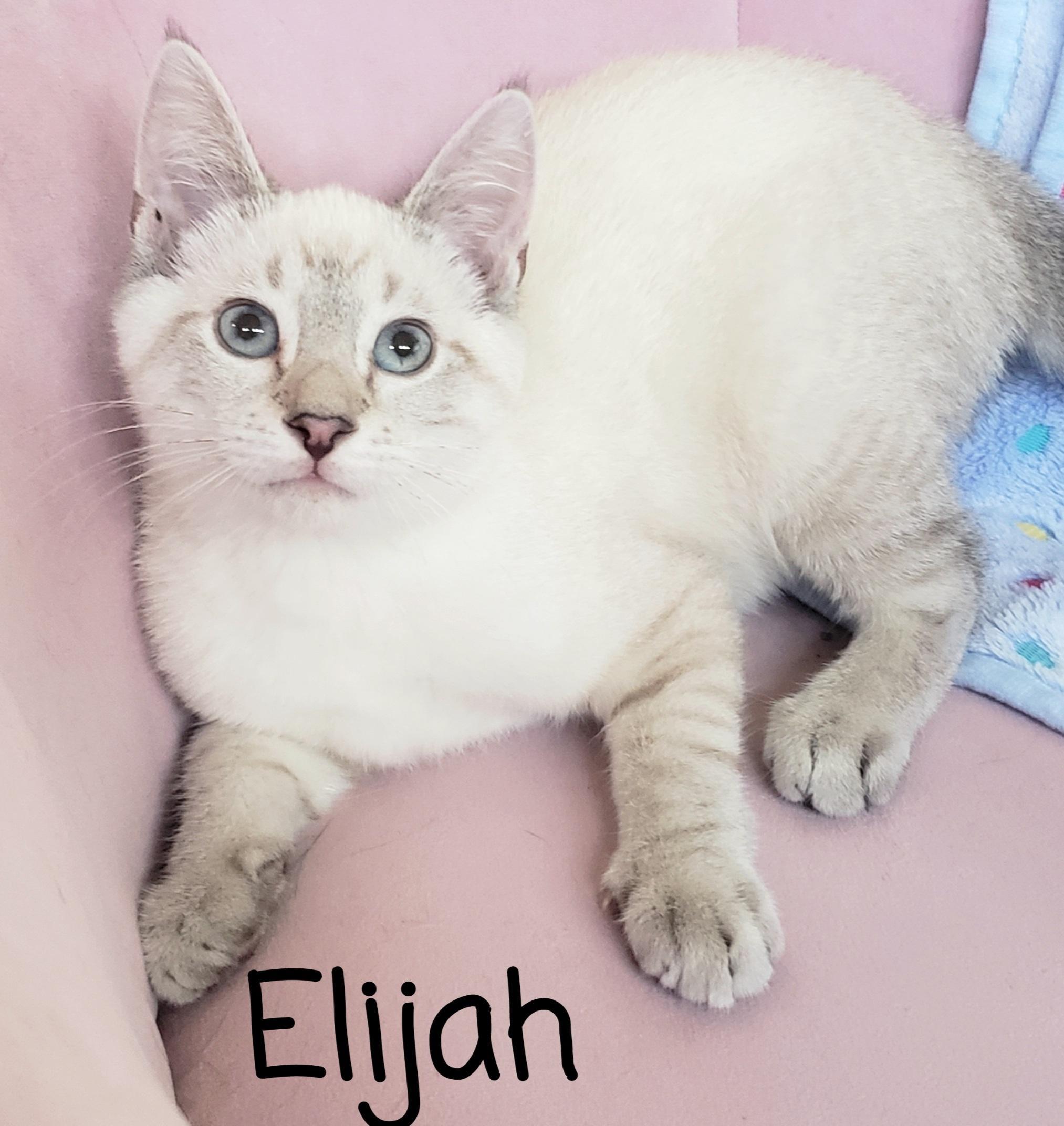 Elijah
