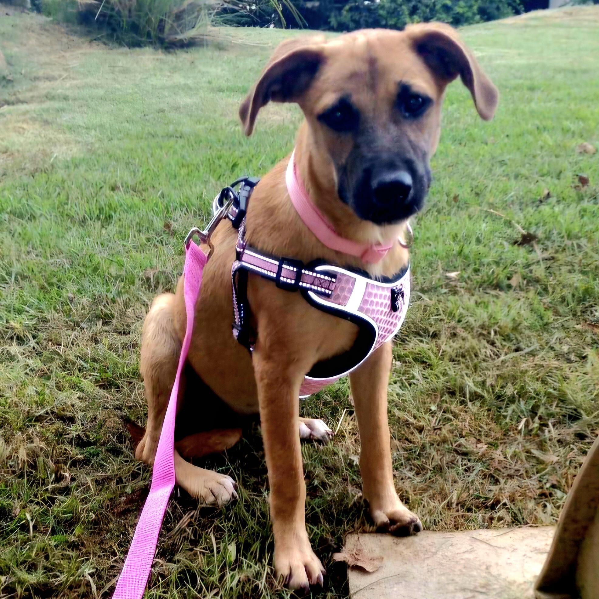 Cami "one Girl. Much