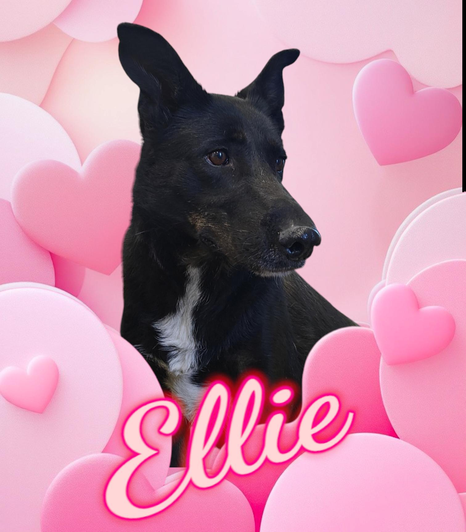 Ellie