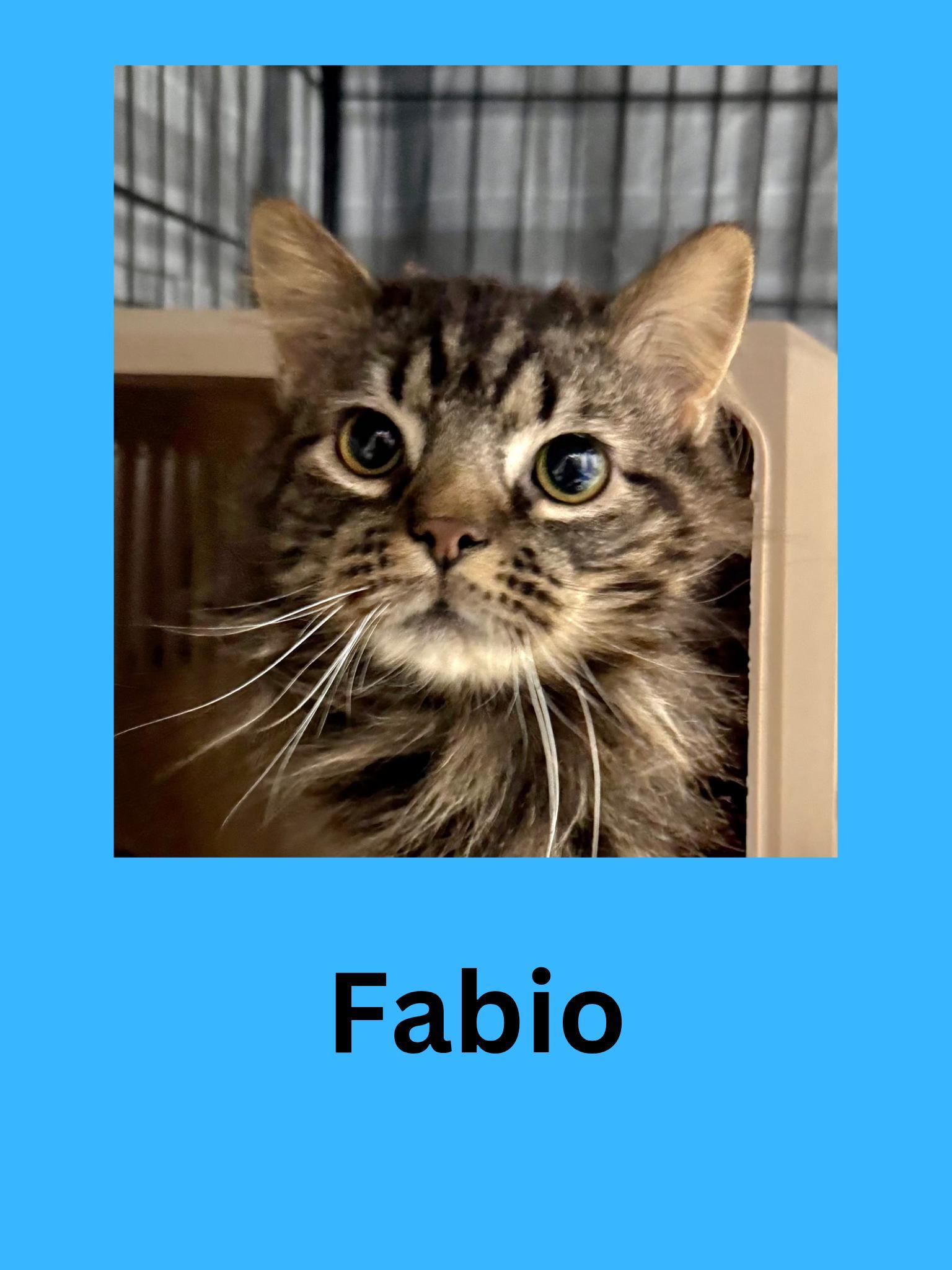 Fabio