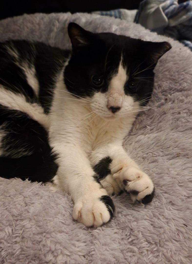 Sirius Black photo 1