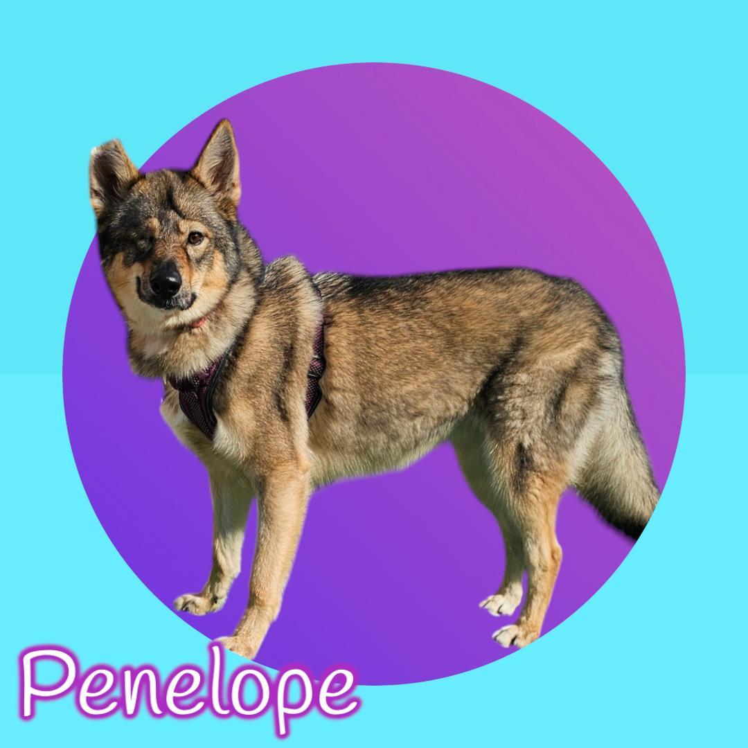 Penelope