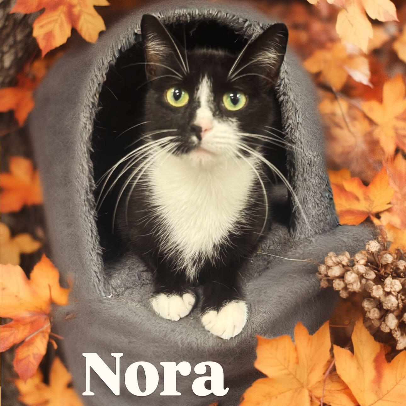 Nora Tag