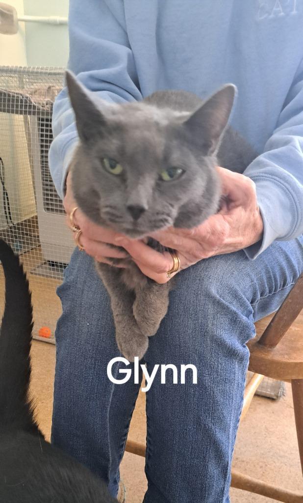 Glynn