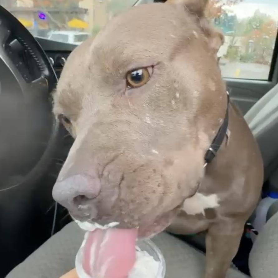 Bonnie The Beautiful