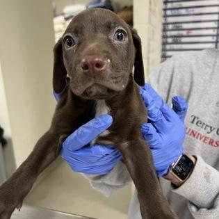 Ct Cashew Avail March