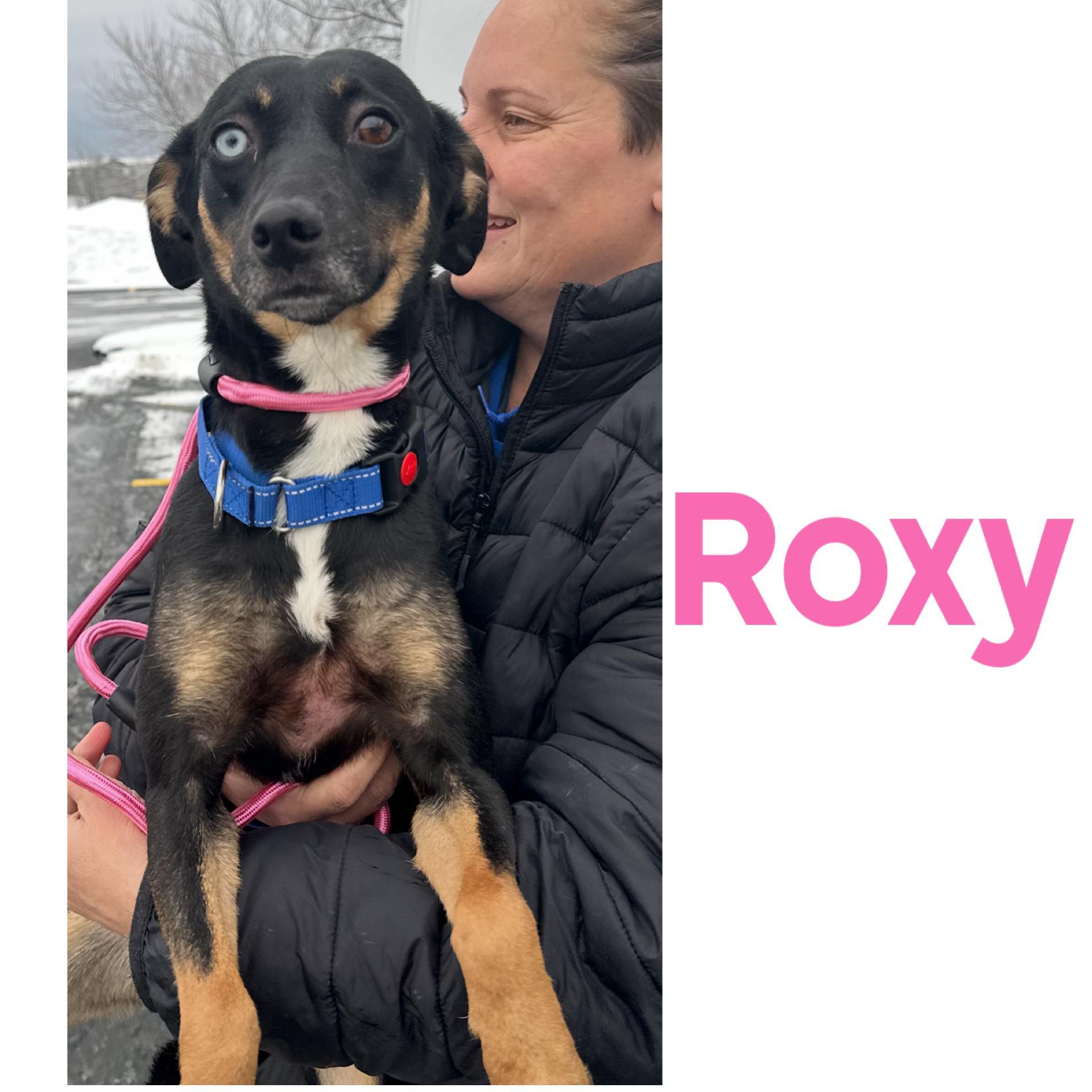 Roxy