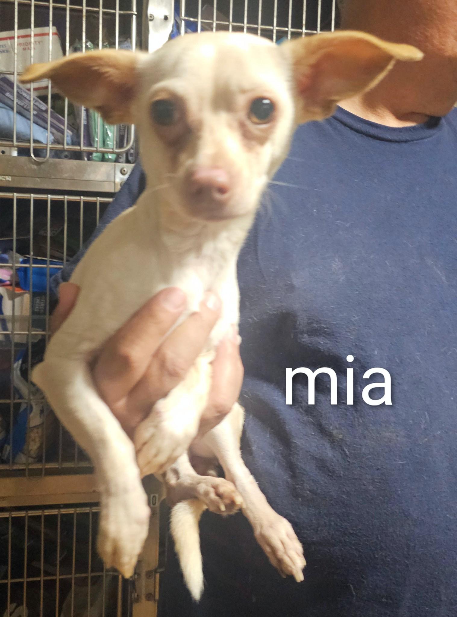Mia