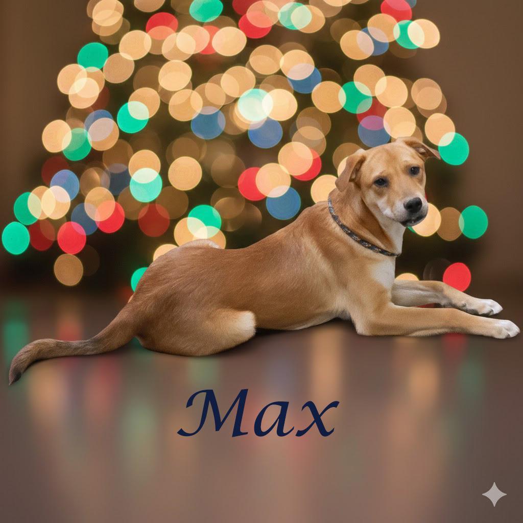 Max D