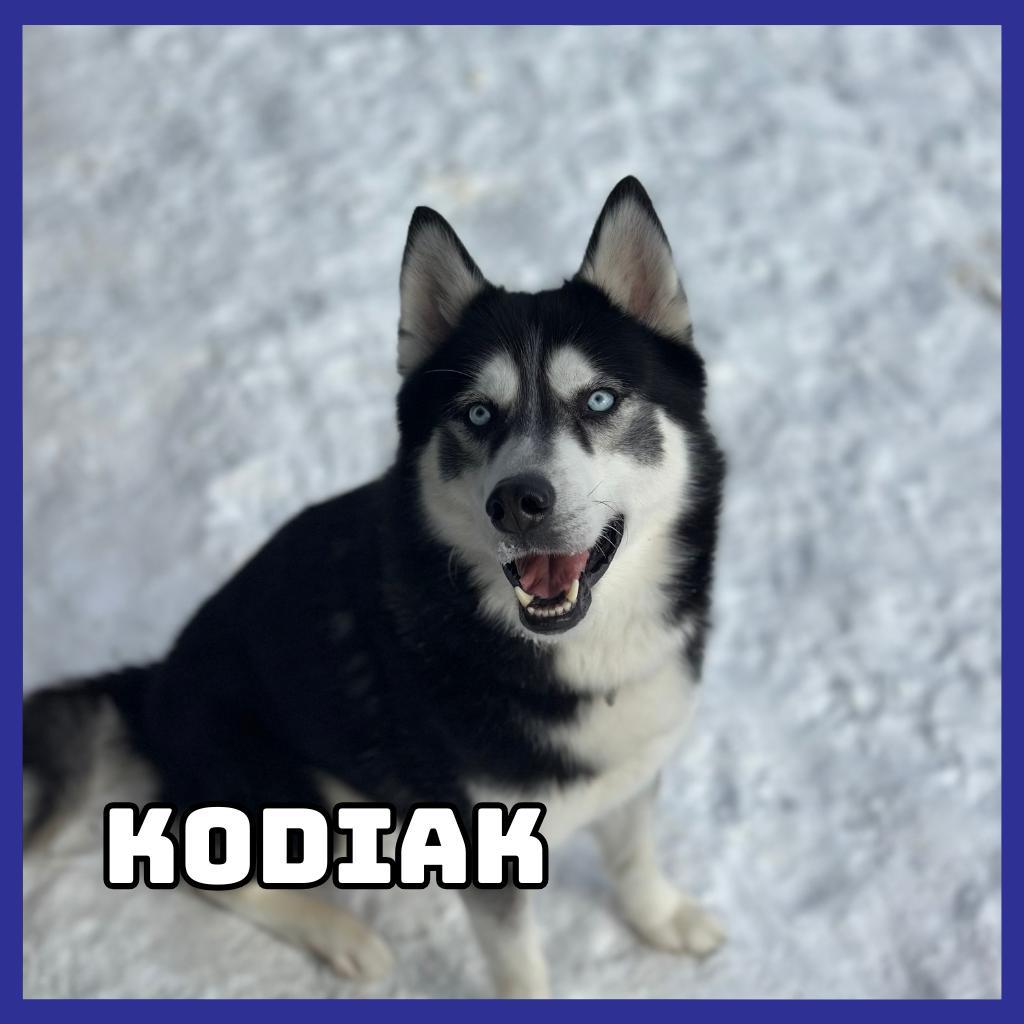 Kodiak