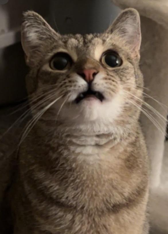 Stormie Aka Heidi photo 1