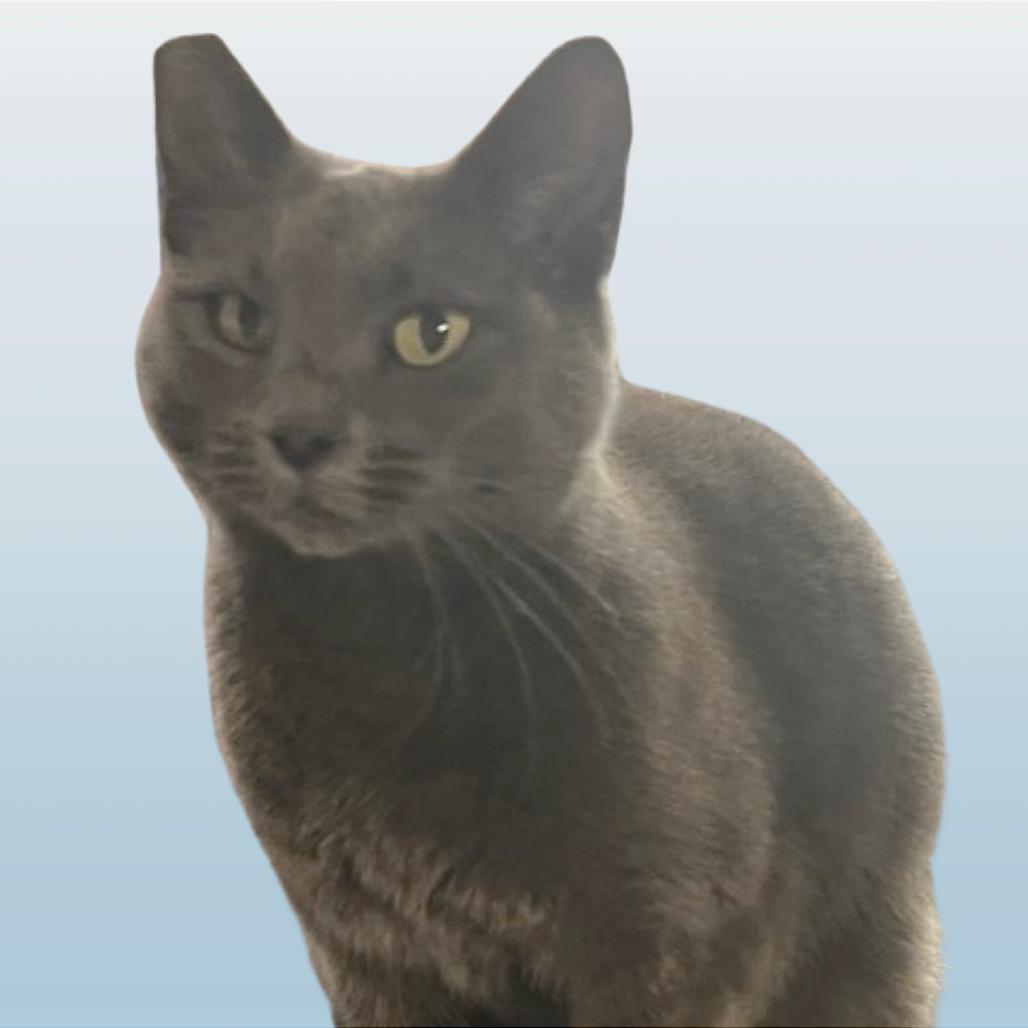 Maple Fka. Ivy Winters