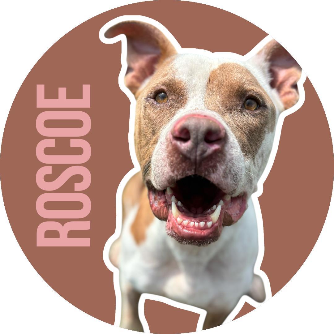 Roscoe