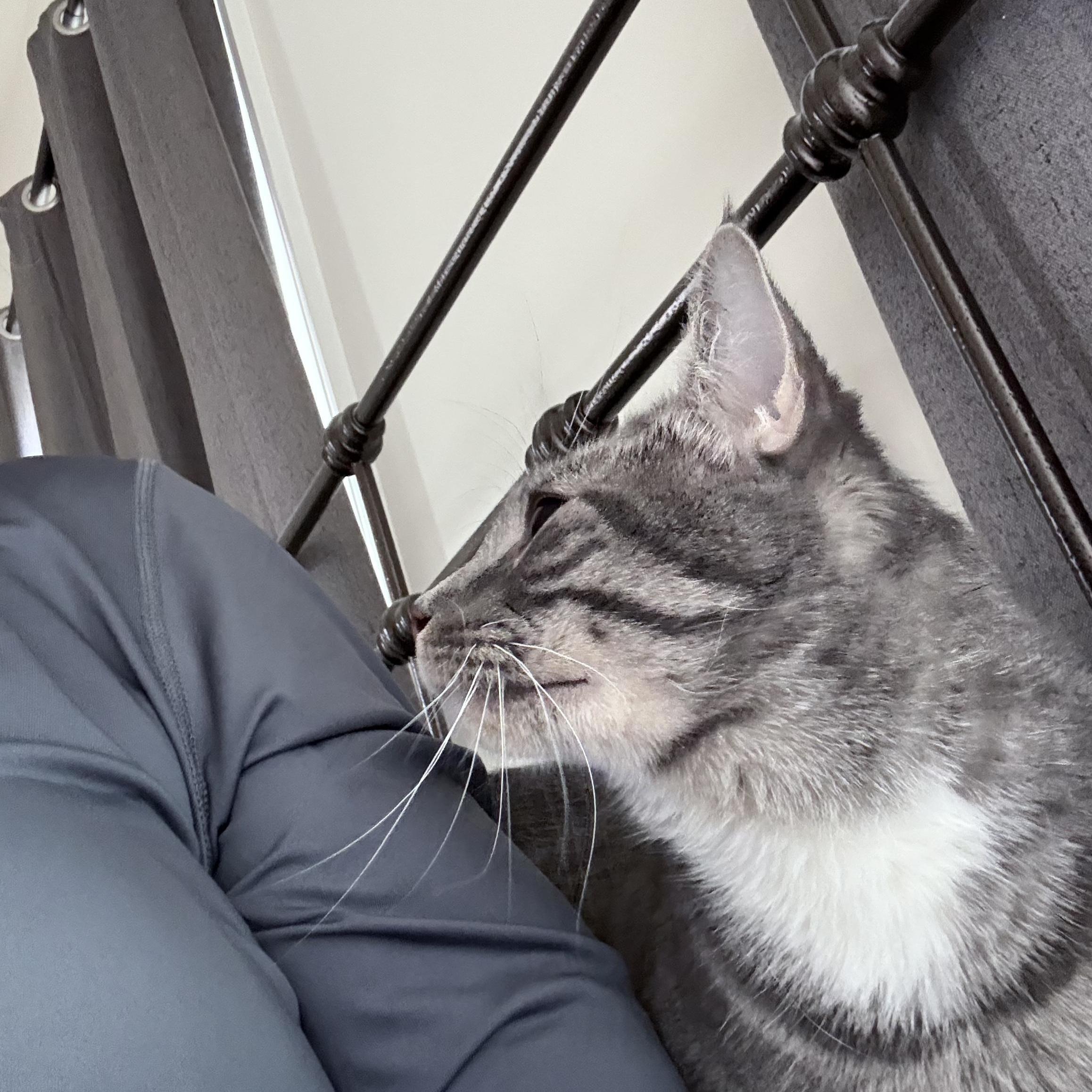 Stormypatience Is A Virtue