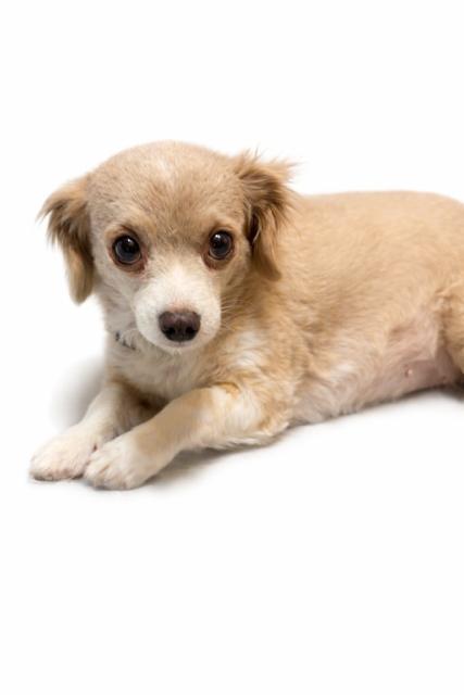 Winnie Needs A Lovingpatient