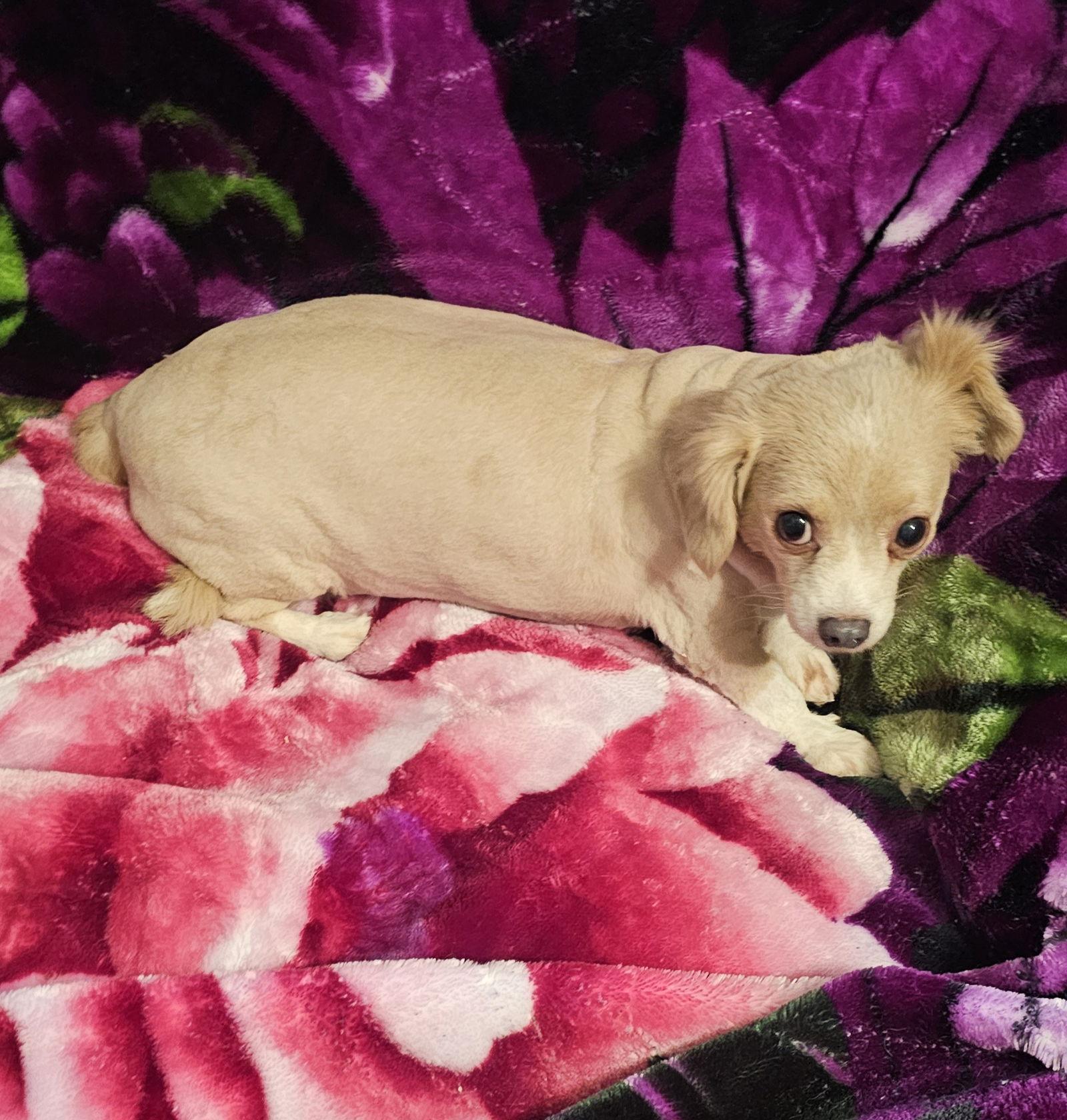 Winnie Needs A Lovingpatient