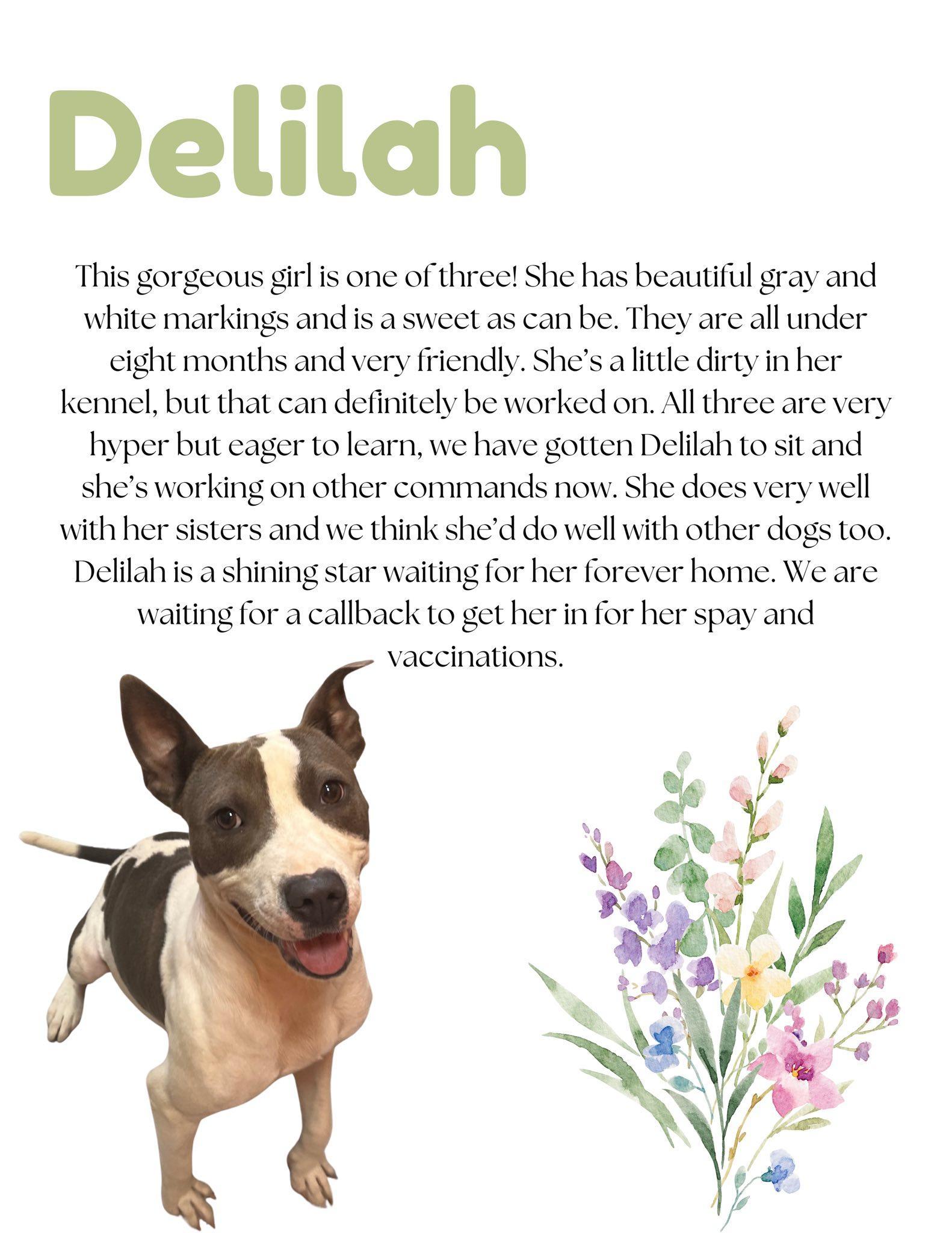 Delilah