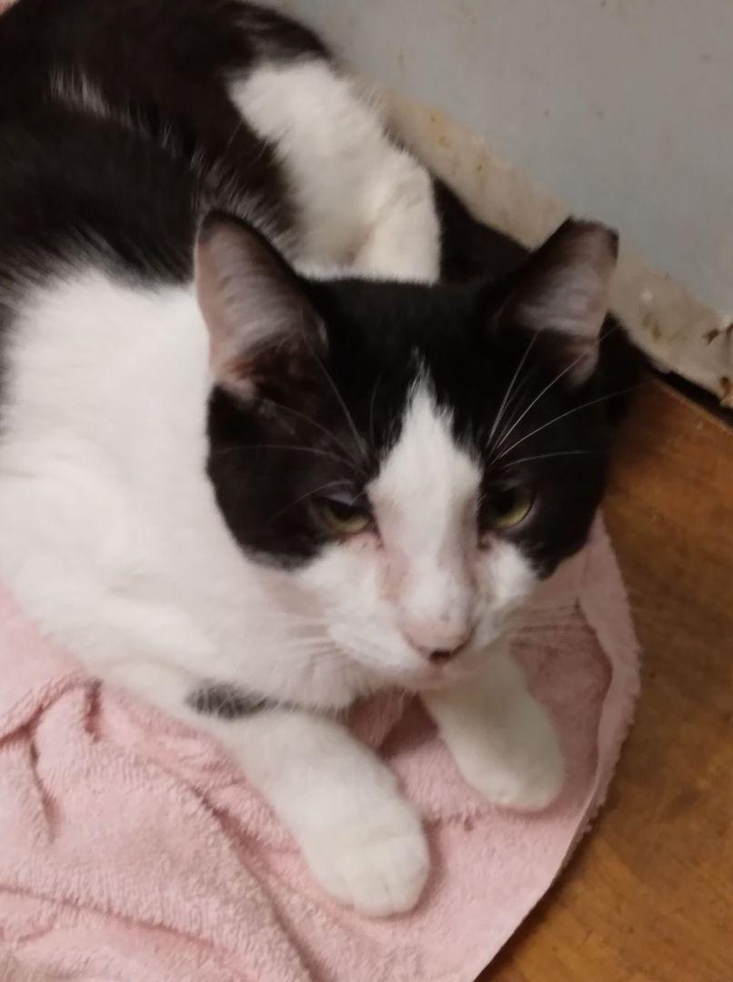 Chester Lee Richmond