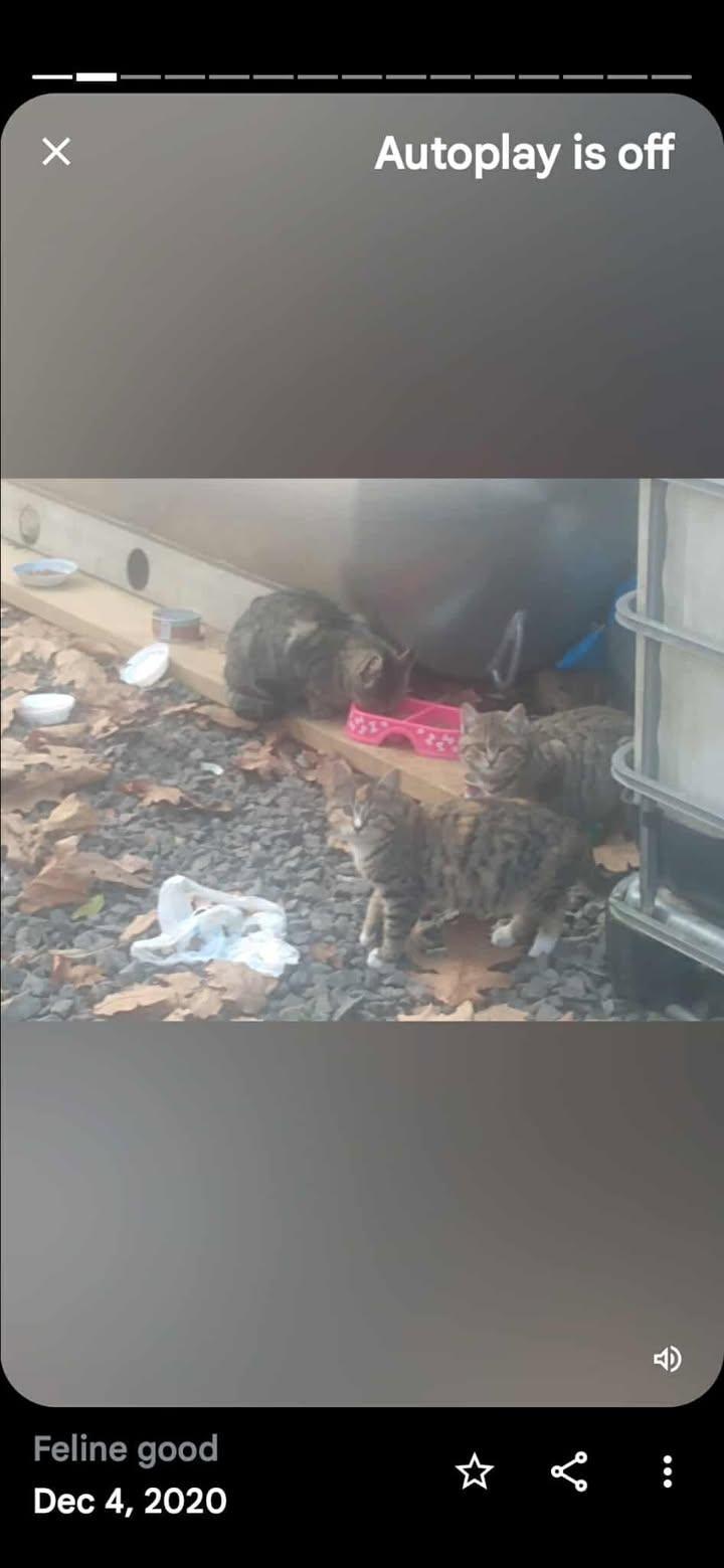 Sterling Marina Pa Cat