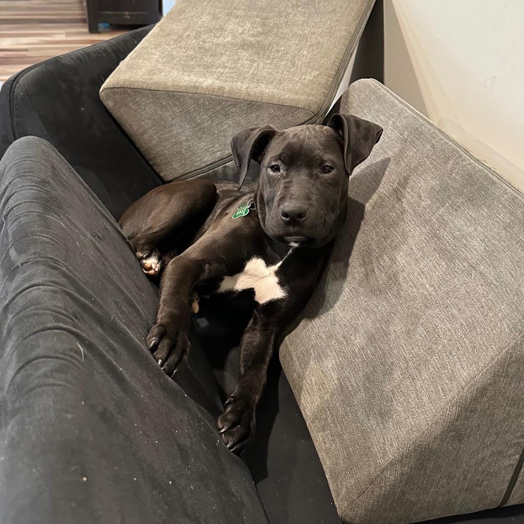 Rani Hernando Local photo 1