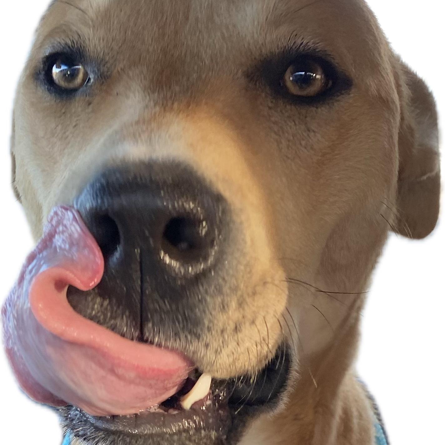 Duke