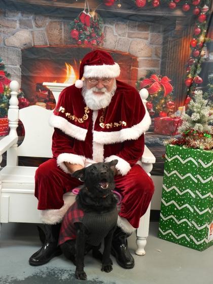 Charlie~ Read My Story!