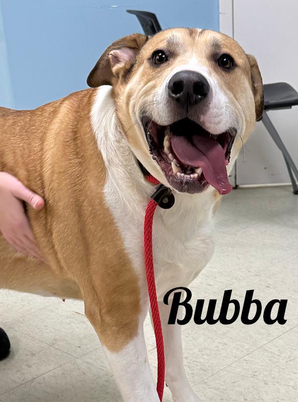 Bubba