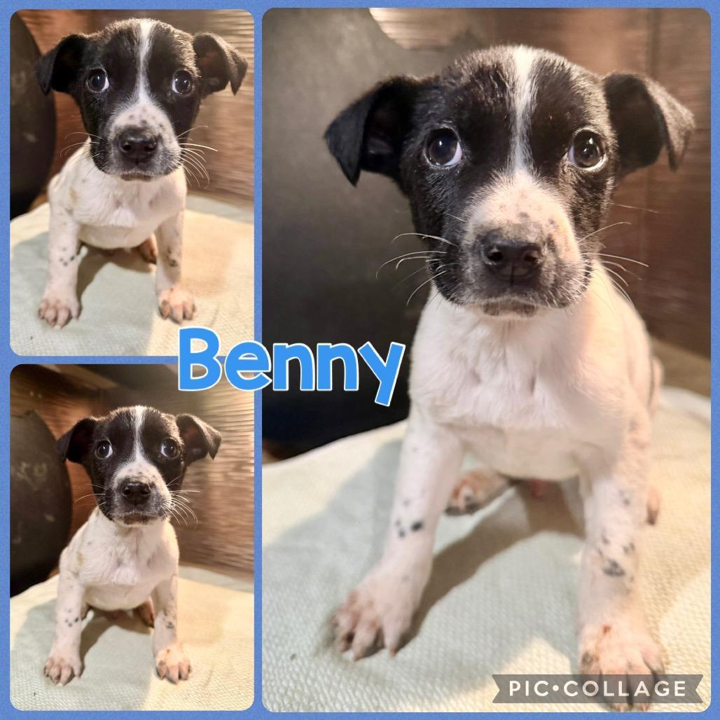 Benny