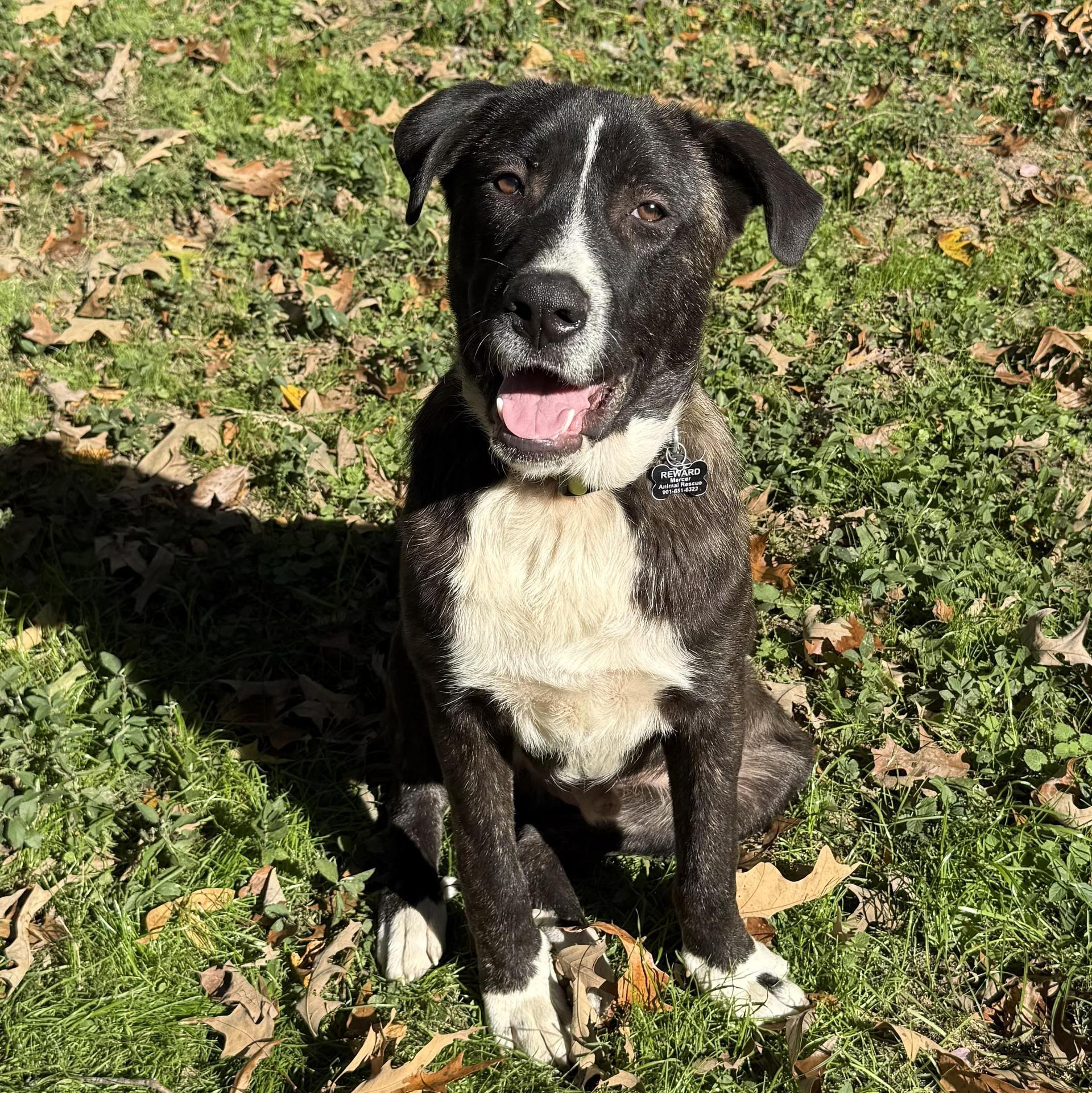 Porter