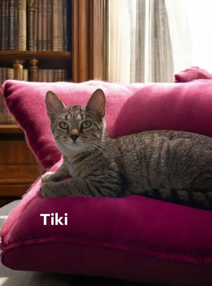 Tiki