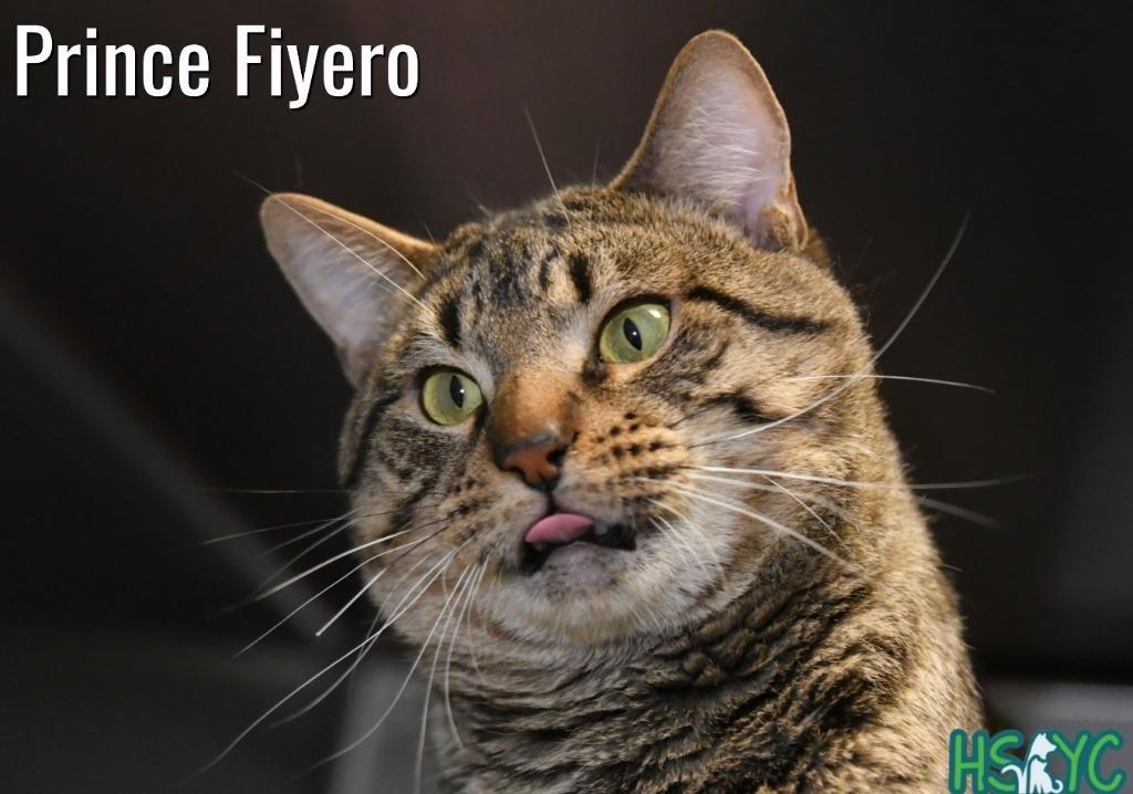 Prince Fiyero photo 1